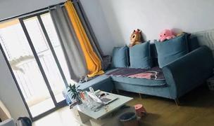 Zhengzhou-Guancheng-Shared Apartment,Seeking Flatmate