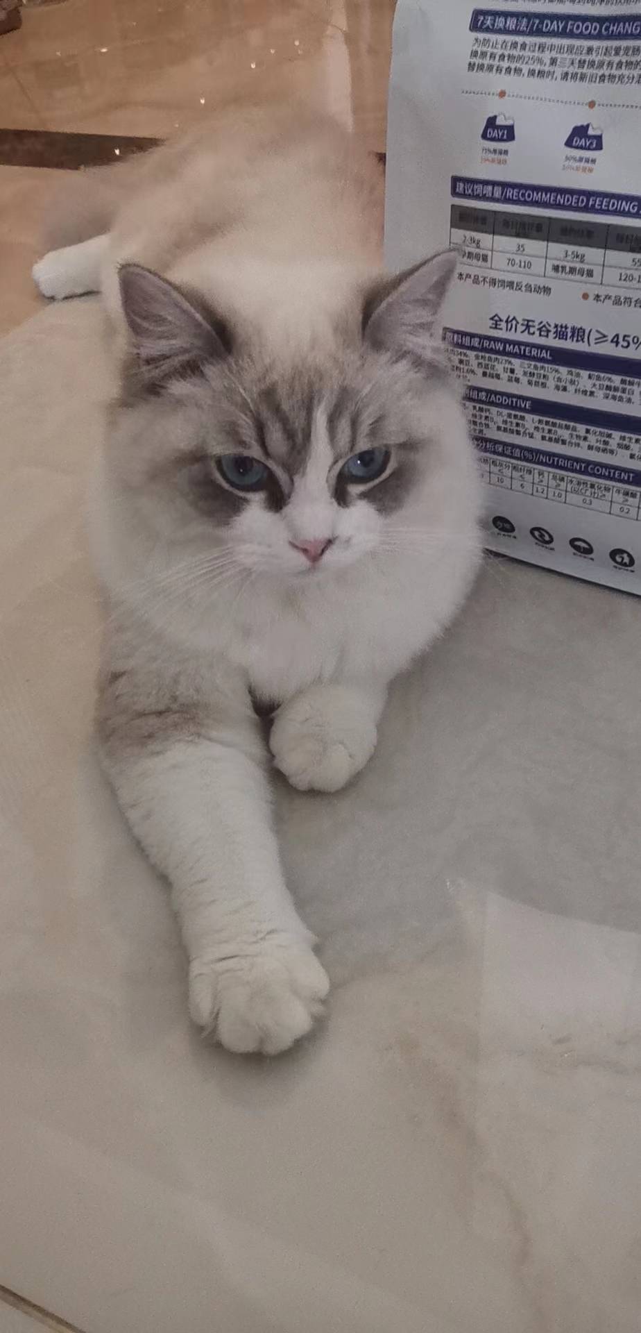 koki