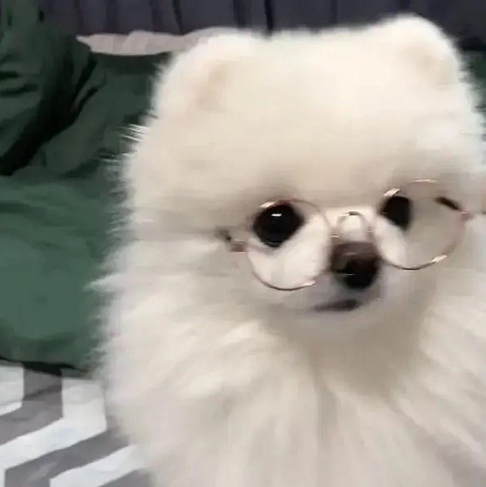 邓童瑶