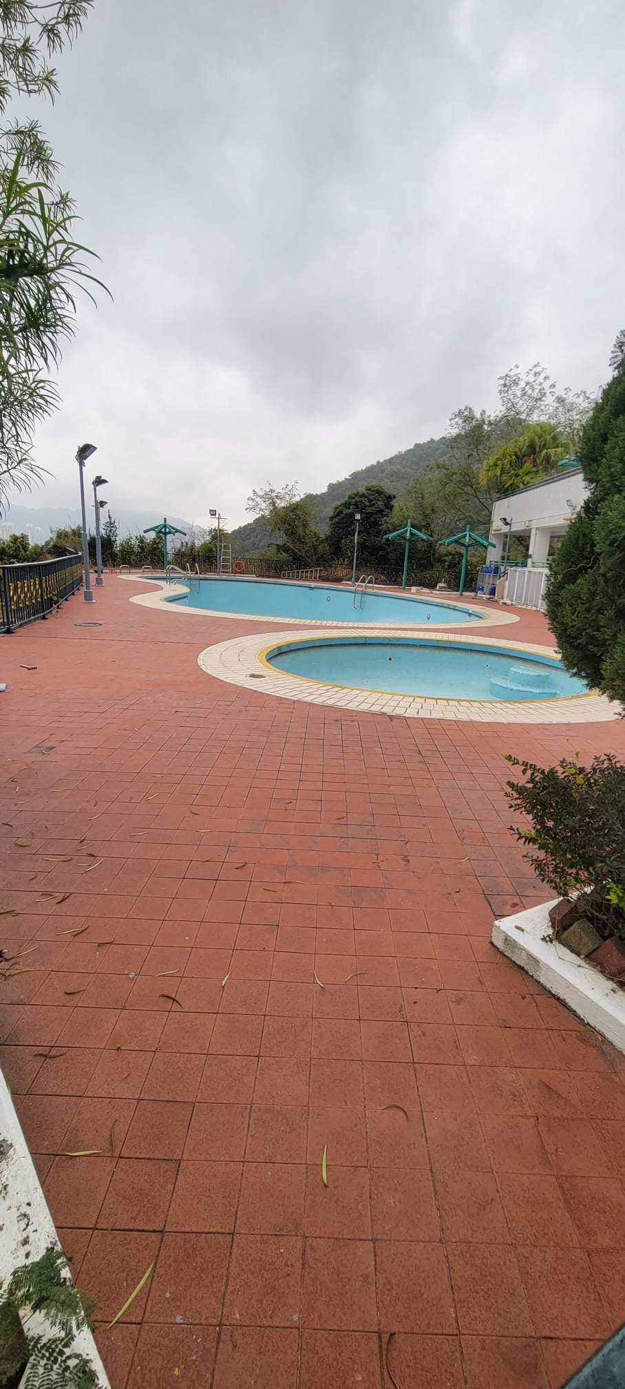 hong-kong-new-territories-long-term-pet-friendly
