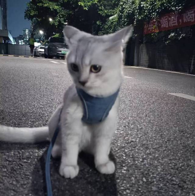 情怀