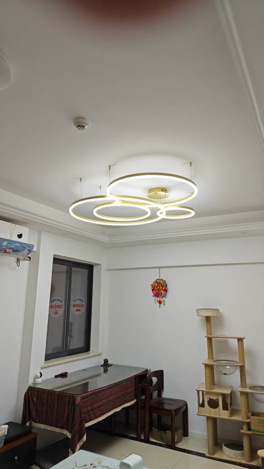 Chengdu-Tianfu-Sublet,Single Apartment,Replacement,LGBTQ Friendly,Pet Friendly
