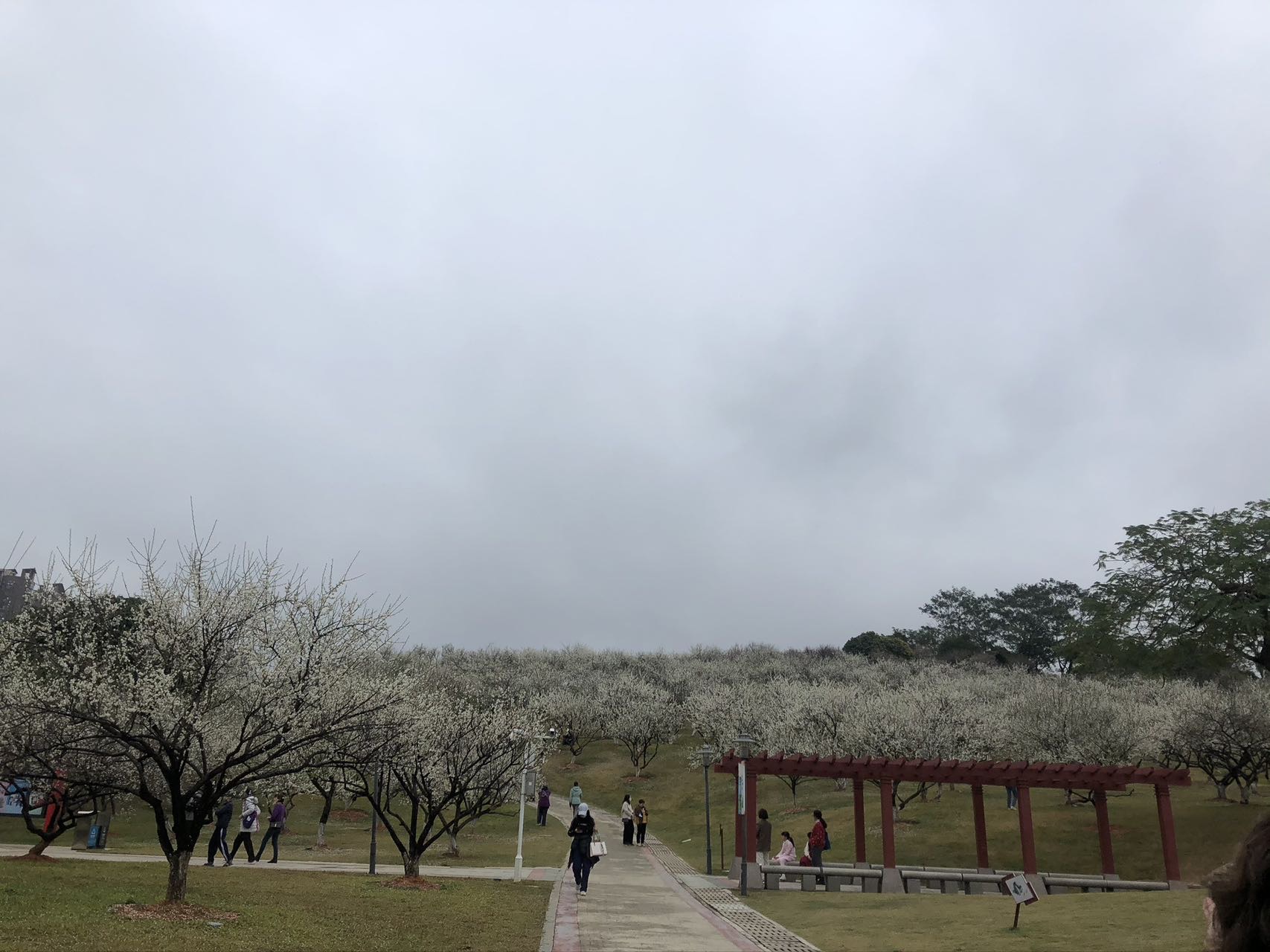 大小潘