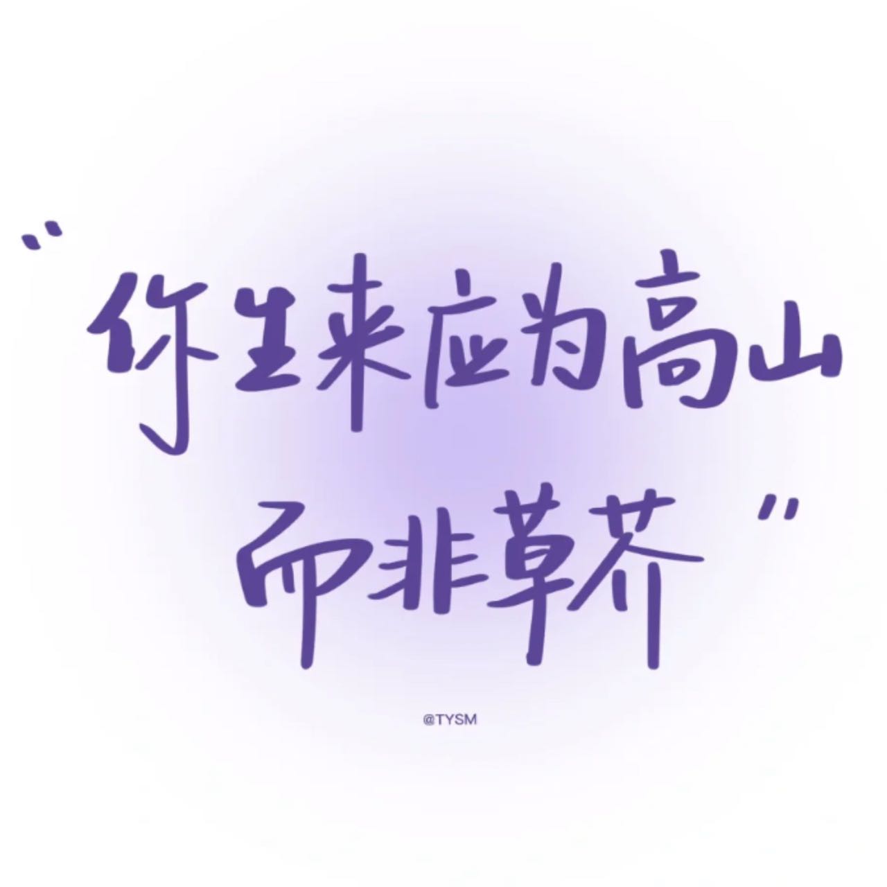 懒懒兔🐇