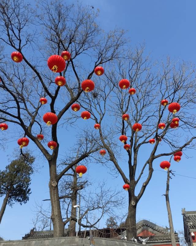 云中望月