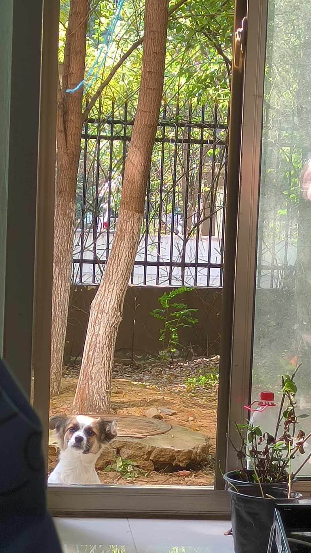 Hefei High-tech Zone 永和家园三期