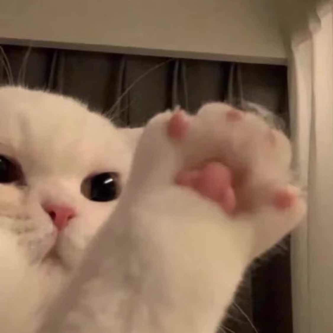 人间四月天