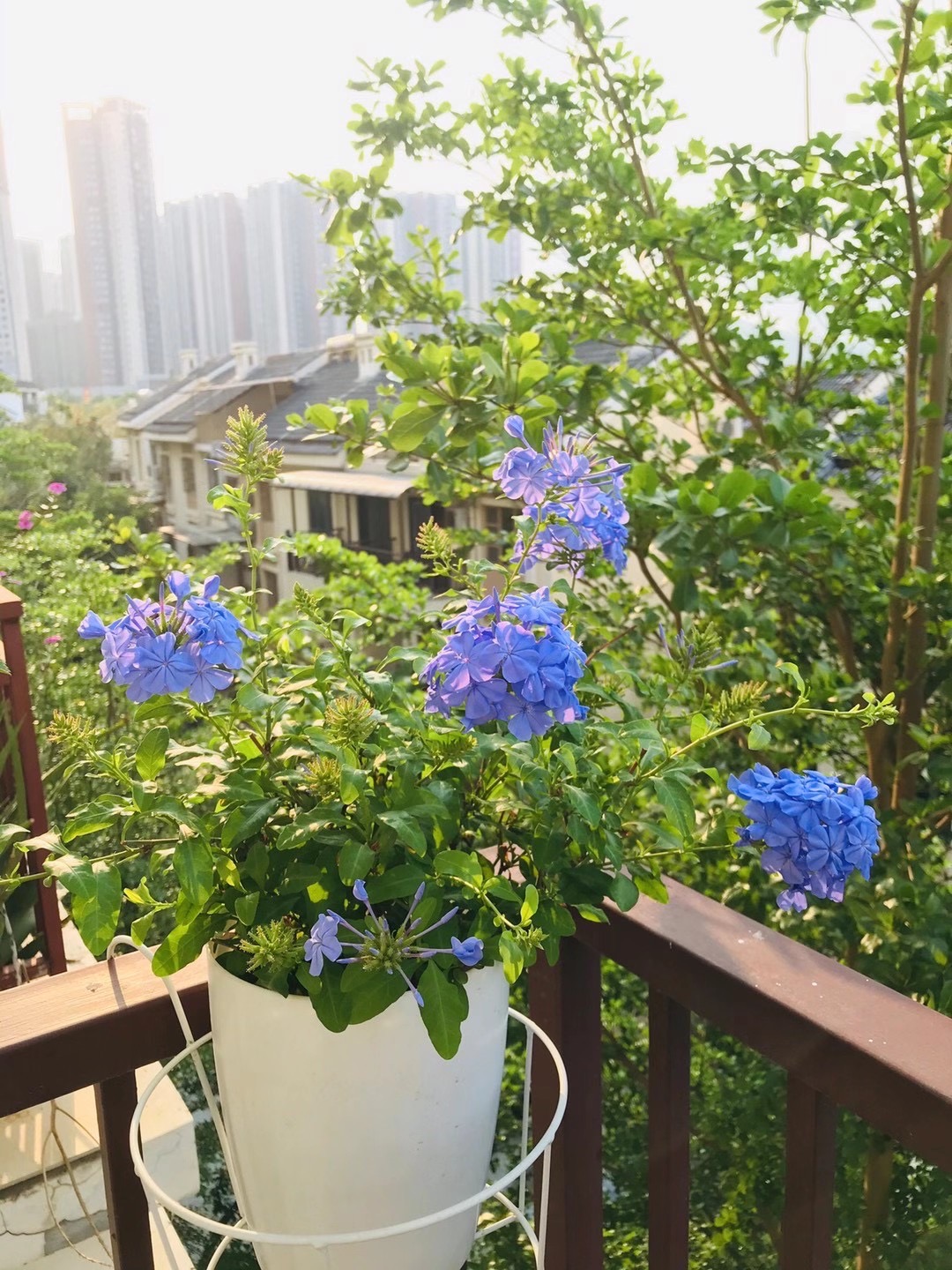 深圳-龙岗-温馨小窝,干净治愈,不限性别,市井烟火气,老友记,慢时光,LGBTQ友好