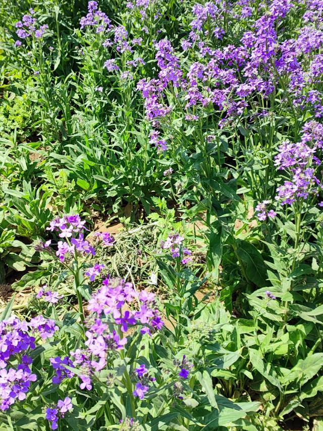 Stone🗿₀₁₁₆