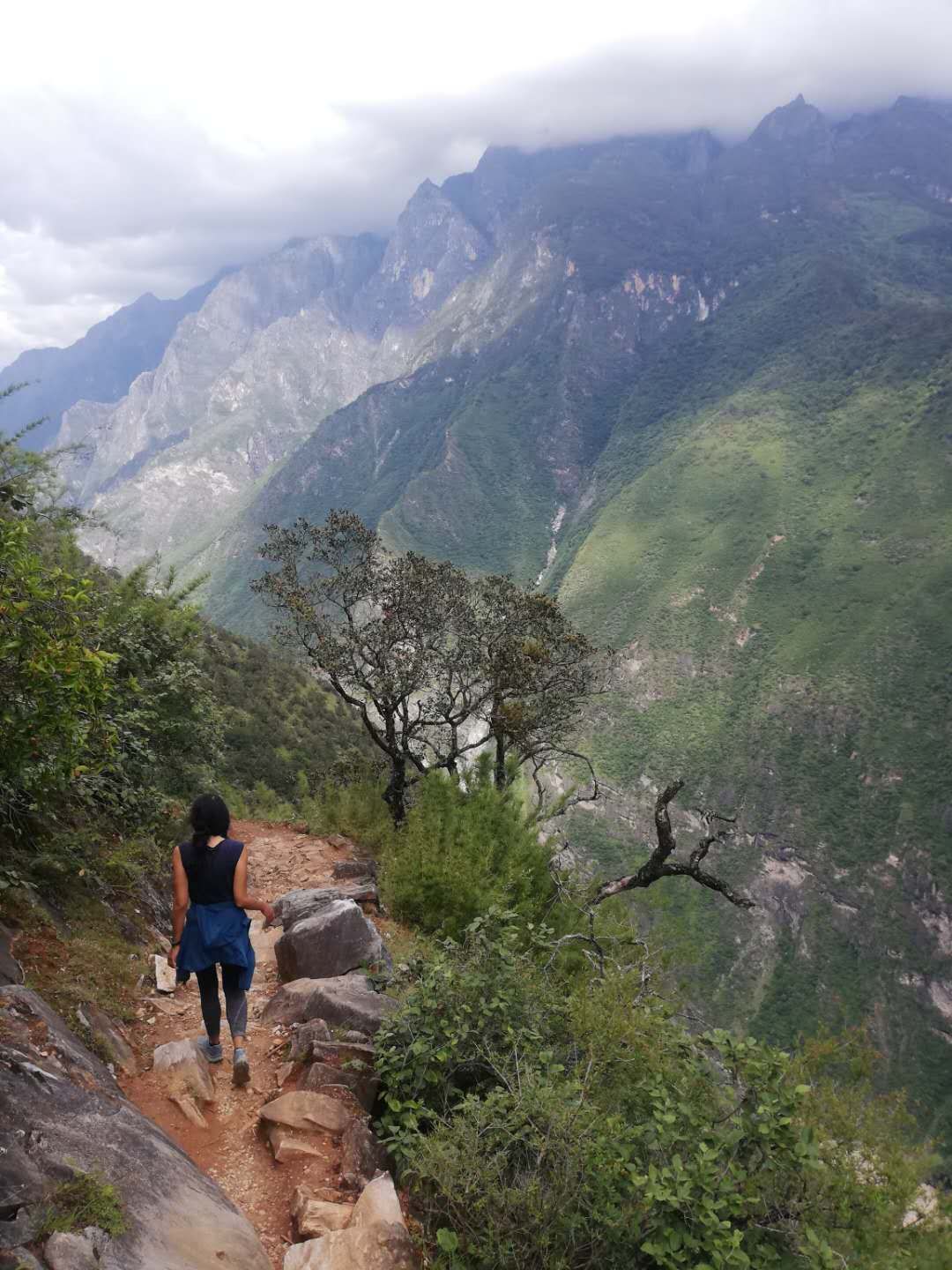 Nandini Venkata