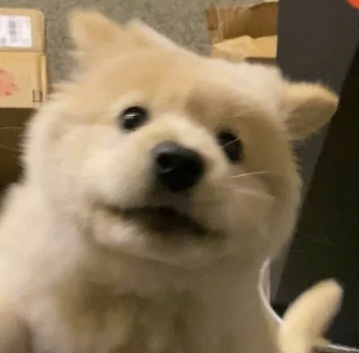芝士裴根卷