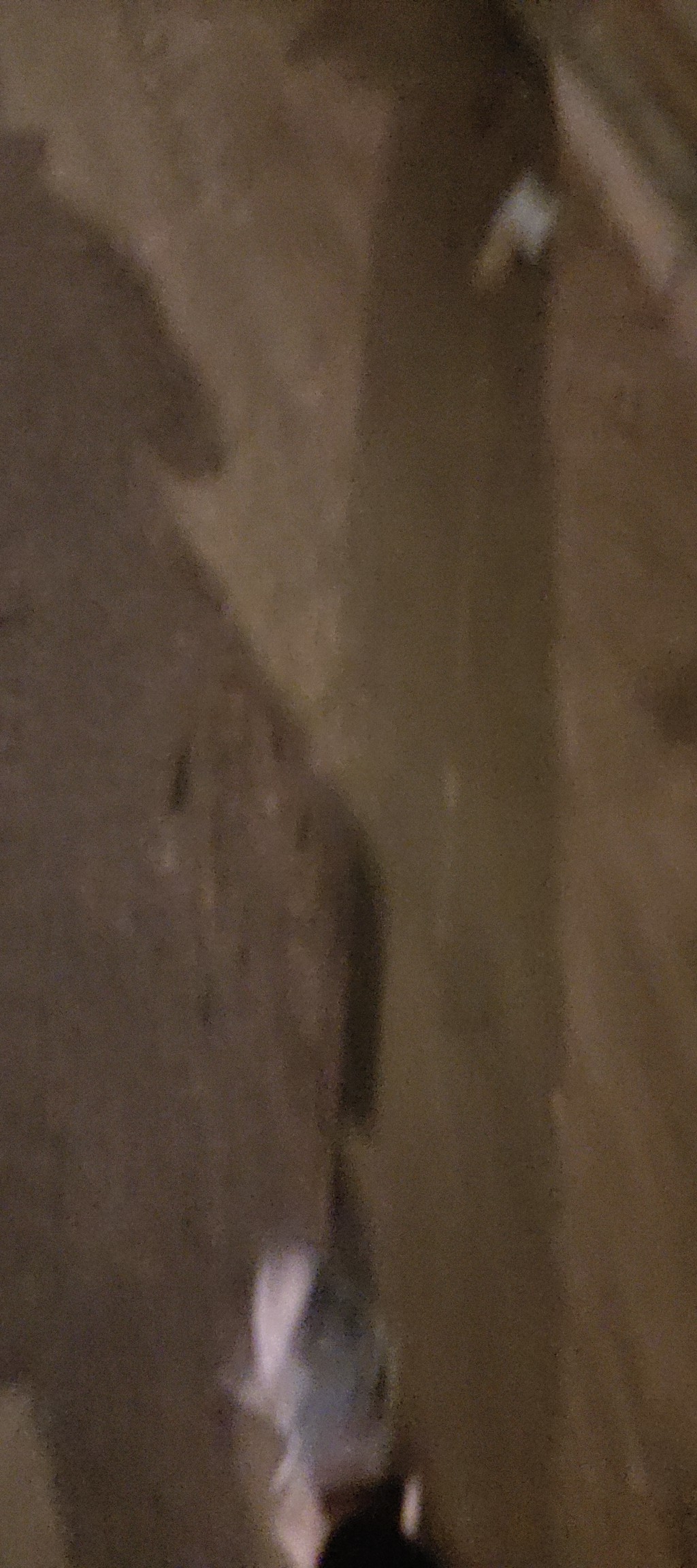 Dongguan-Liaobu-Cozy Home,Clean&Comfy,No Gender Limit,Hustle & Bustle,“Friends”,Chilled,LGBTQ Friendly,Pet Friendly