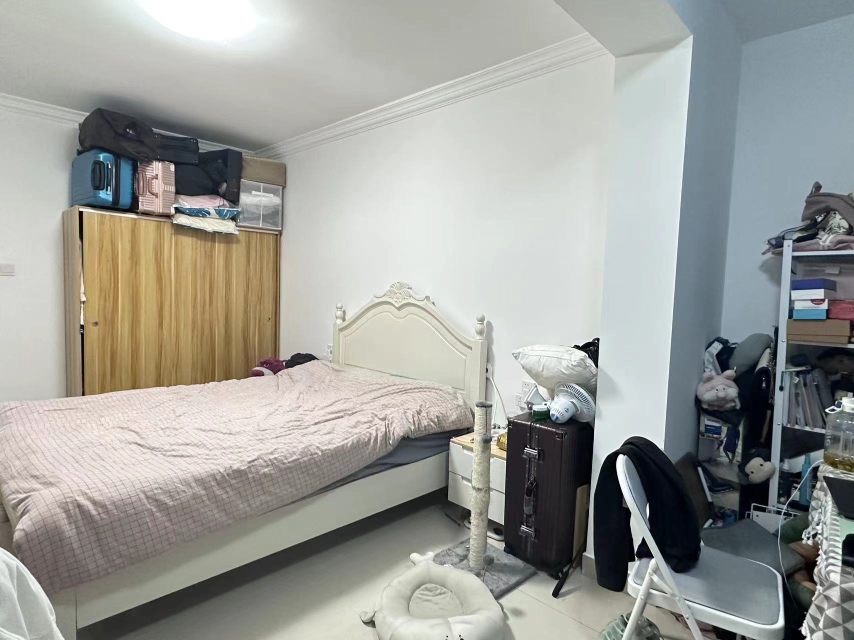 Shanghai-Pudong-Cozy Home,Clean&Comfy,No Gender Limit,Pet Friendly