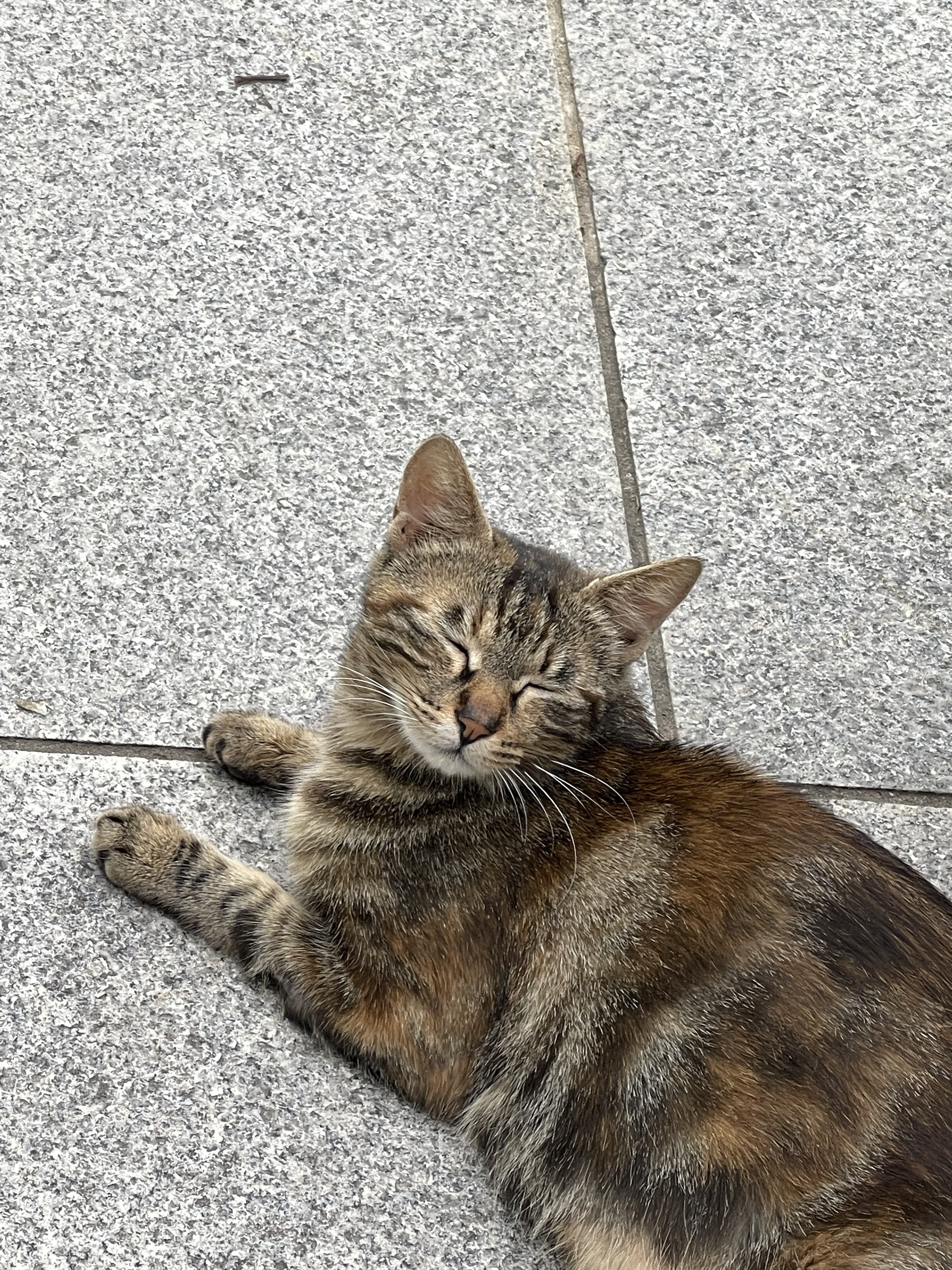 Doris