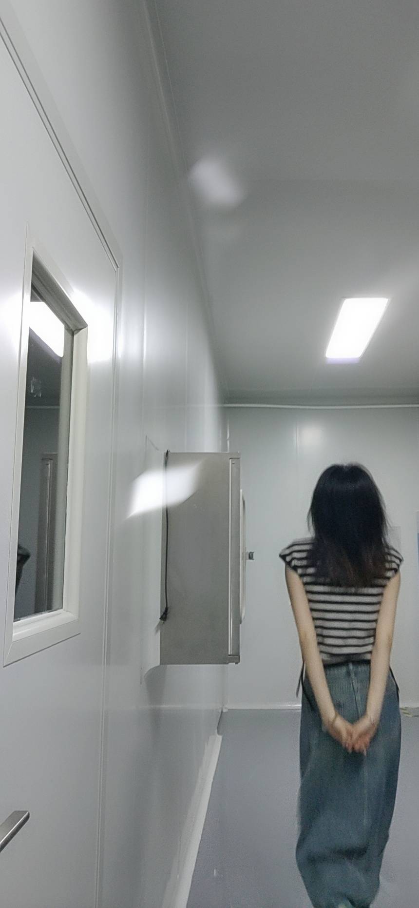 笨迪