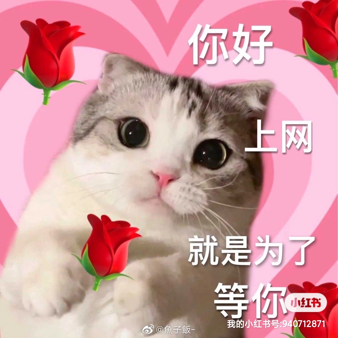 易起（致力于全女生）