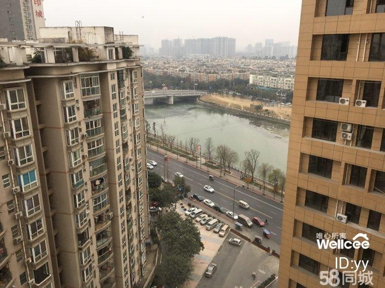 成都-天府新區-溫馨小窩,乾淨治愈