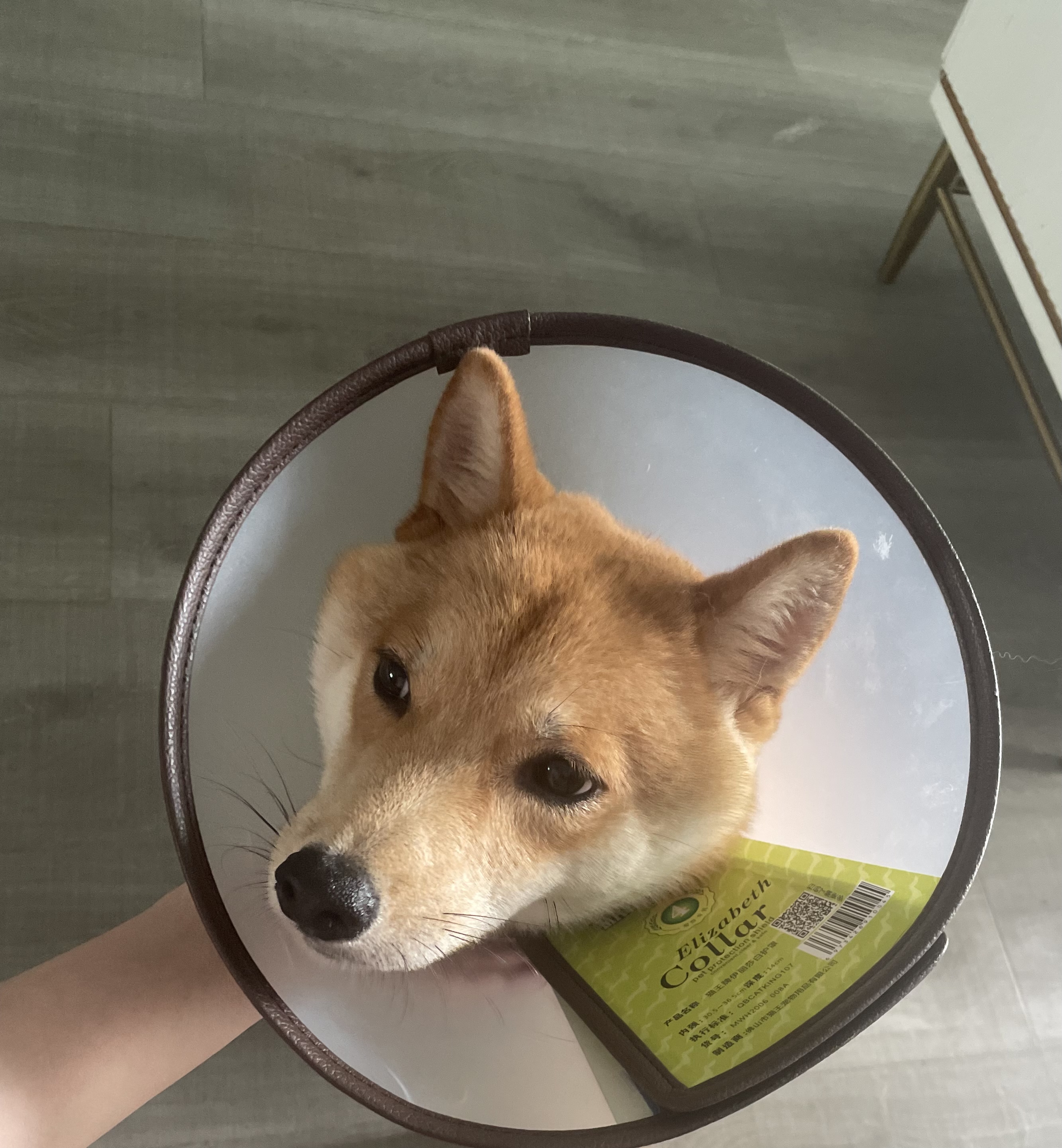 uoko