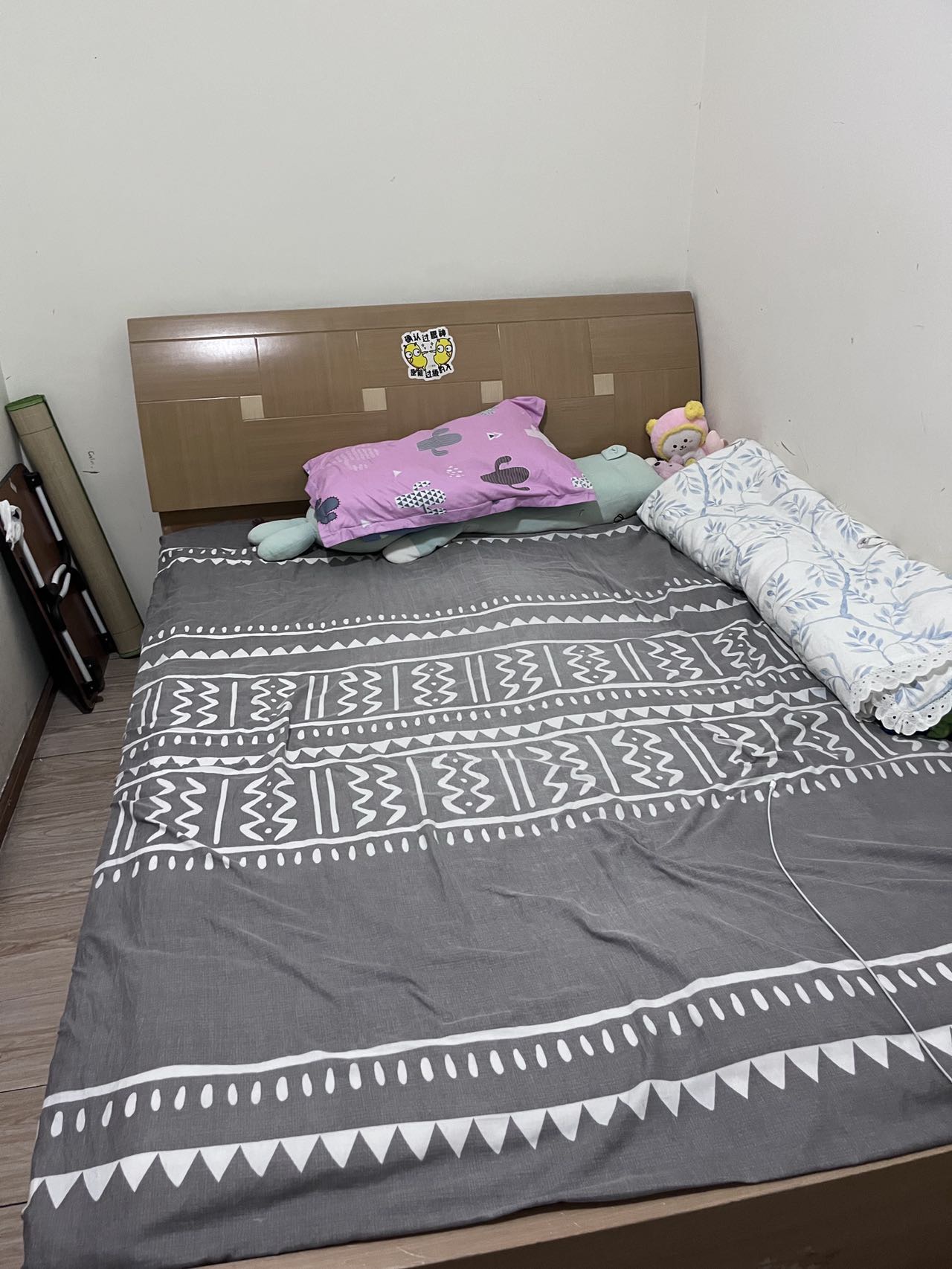 Chengdu-Jinniu-女生,Pet Friendly