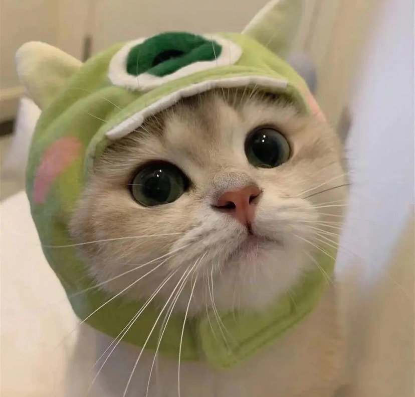 听我说谢谢你
