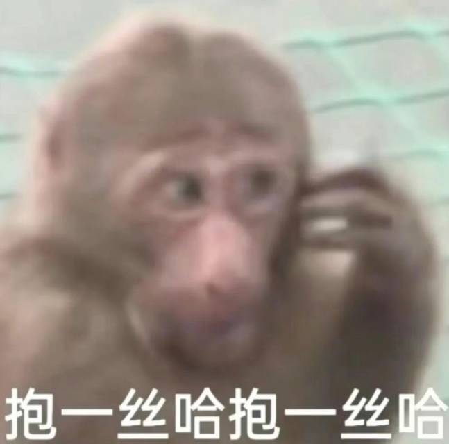 哈哈哈