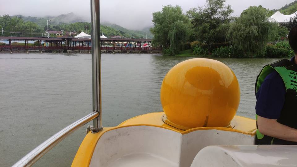 刘涛