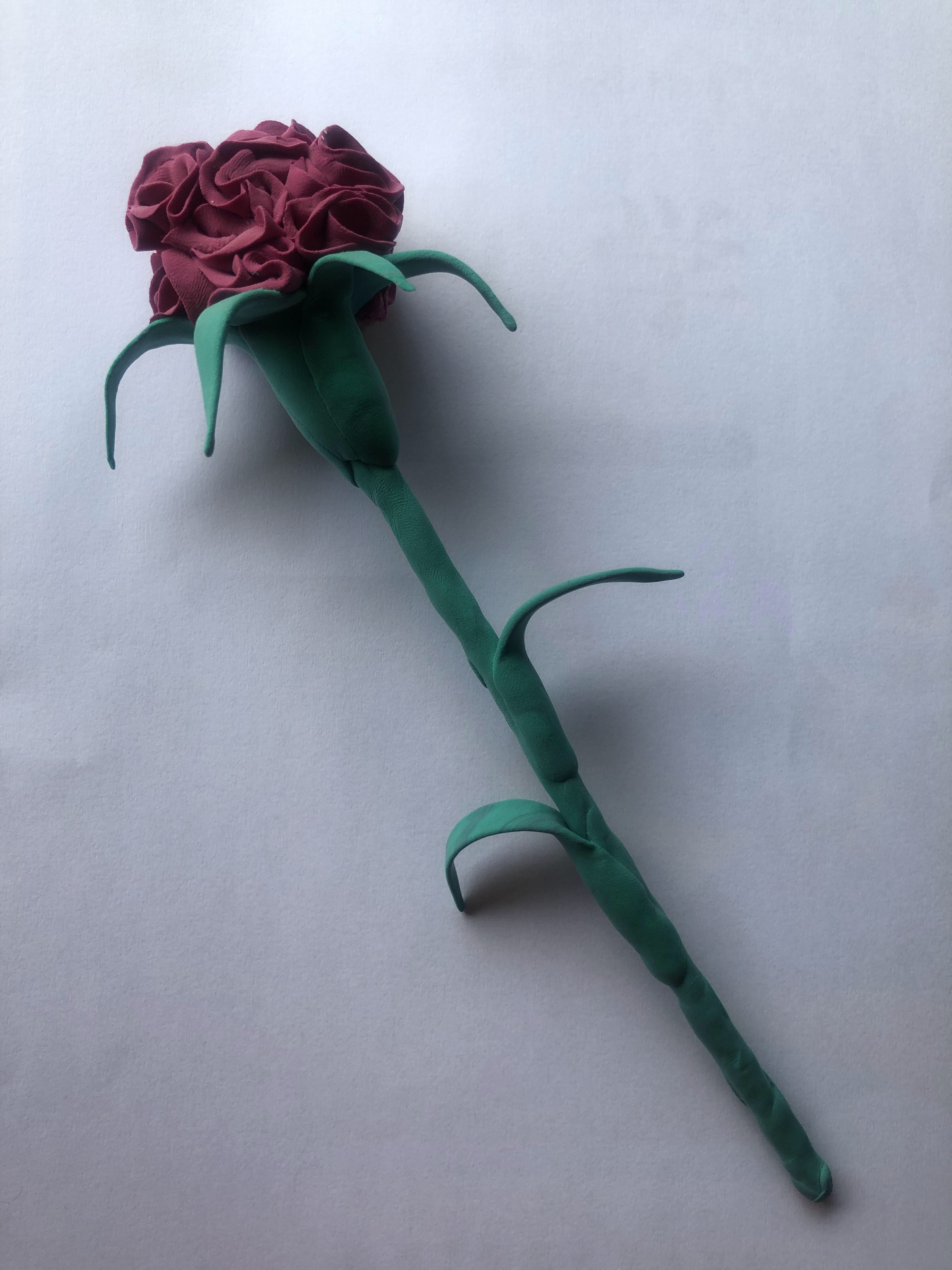 敏🌸