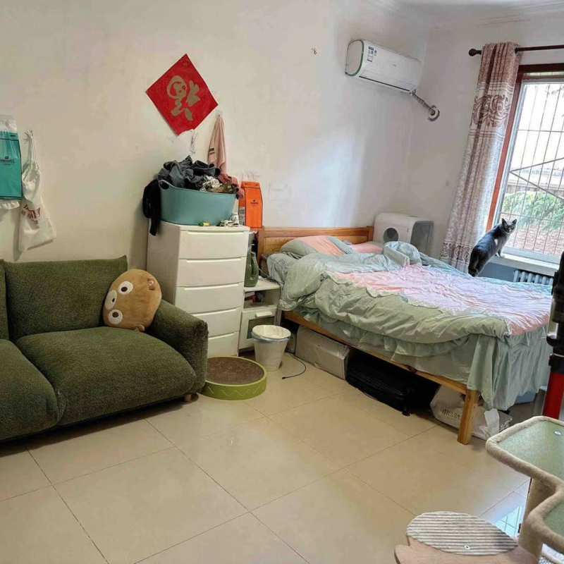 Beijing-Haidian-Cozy Home,Clean&Comfy,No Gender Limit,Hustle & Bustle,Pet Friendly