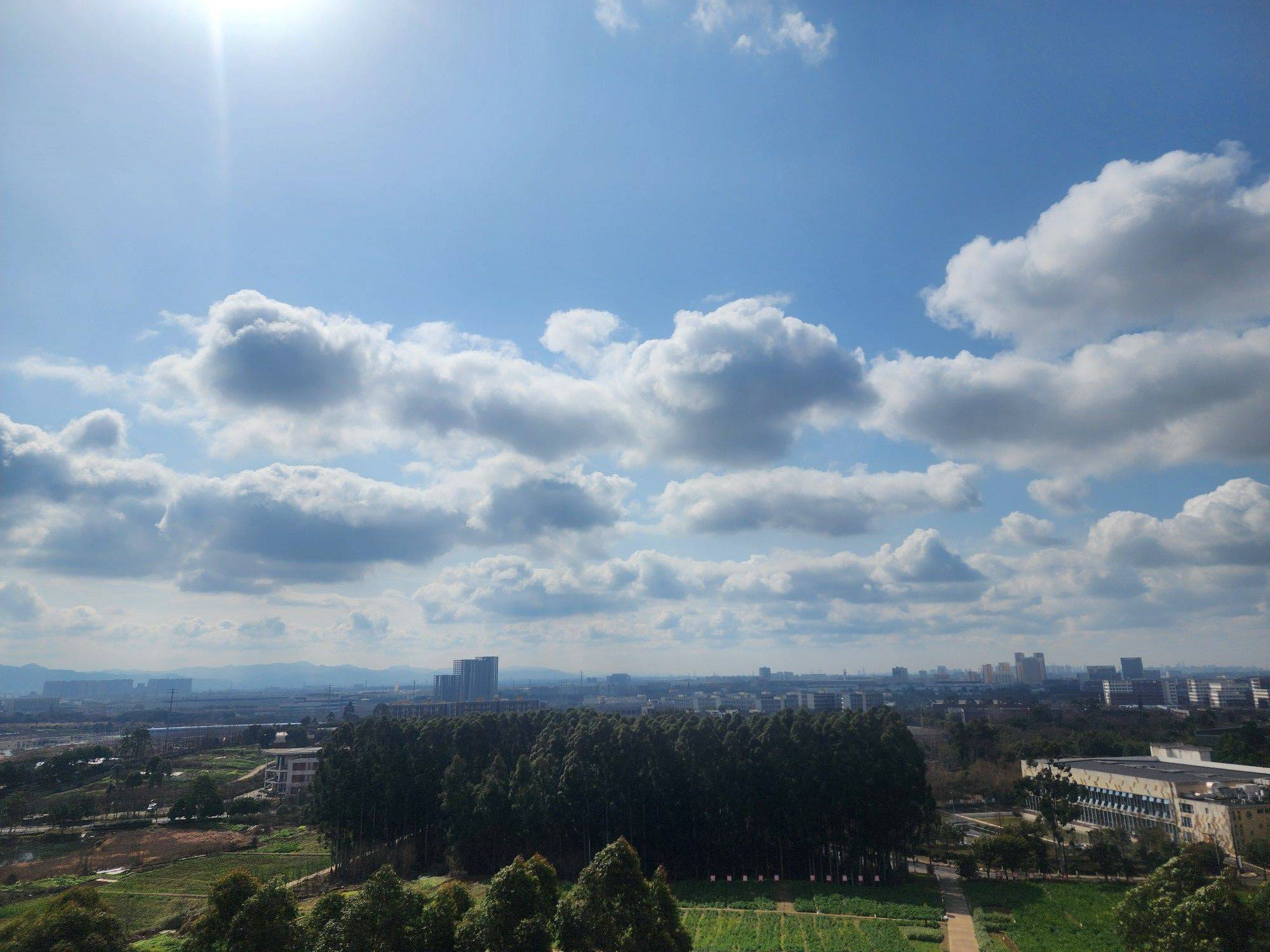 Chengdu-Longquanyi-Cozy Home,Clean&Comfy,No Gender Limit,Pet Friendly