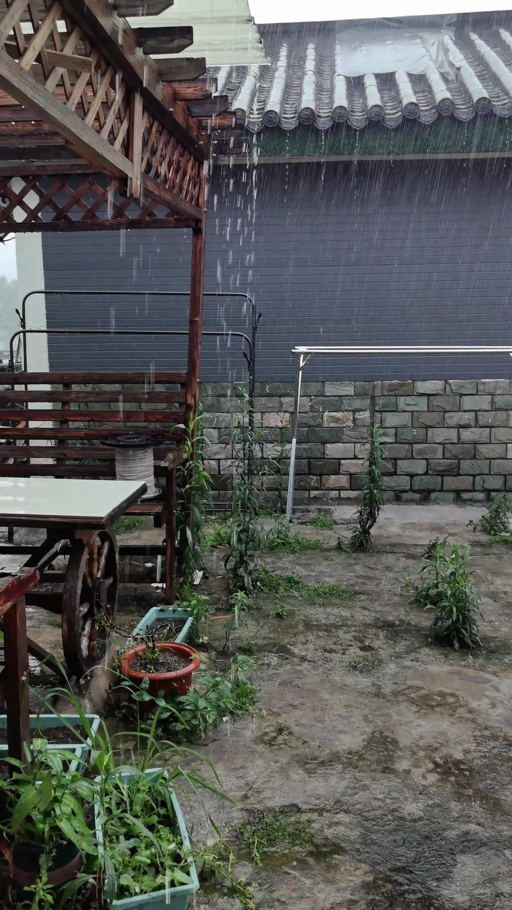  神仙房东看看我 