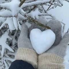 爱雪