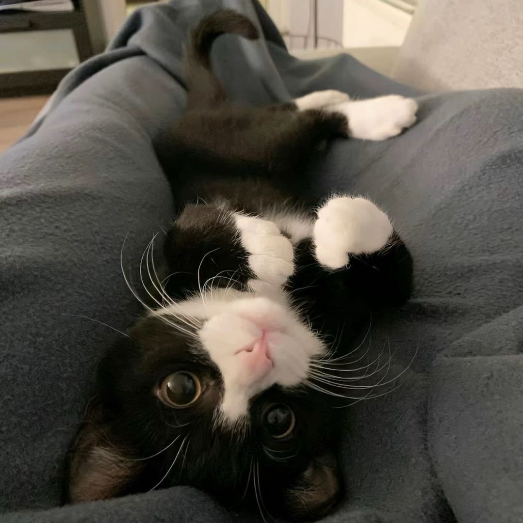 秋