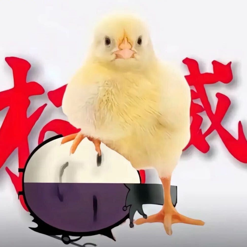 桃绒