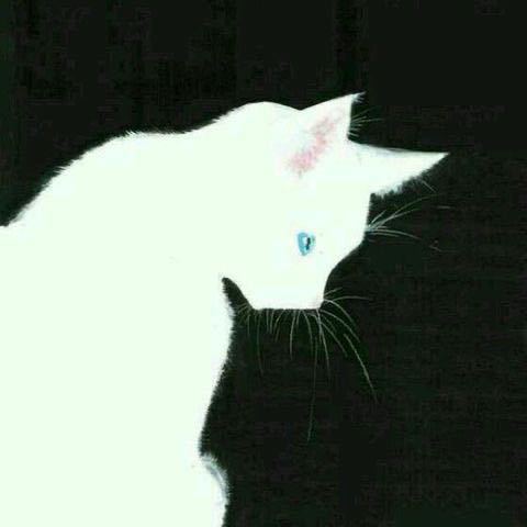 梦