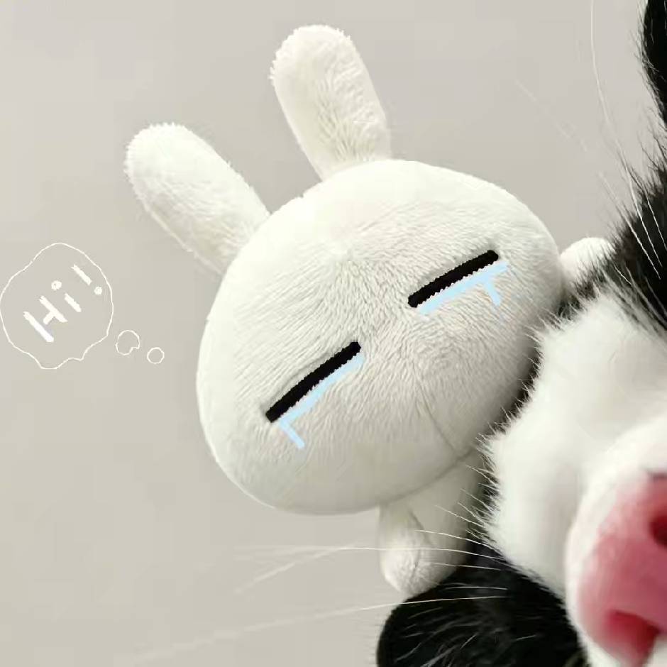 白泽