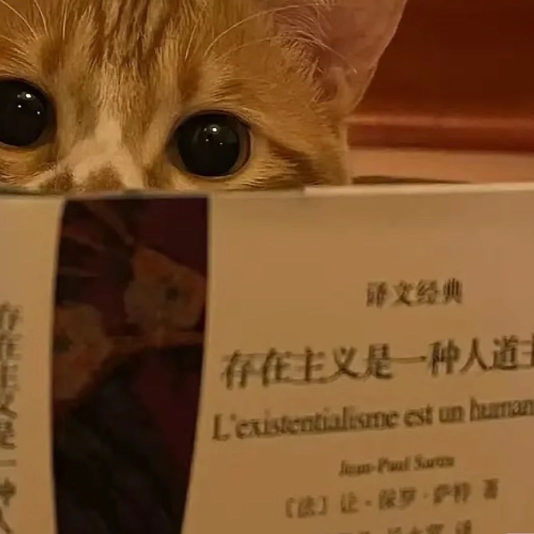 在公交站直到黎明_