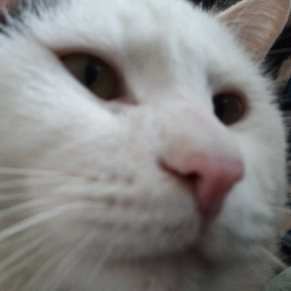 炑，首月补贴1000元