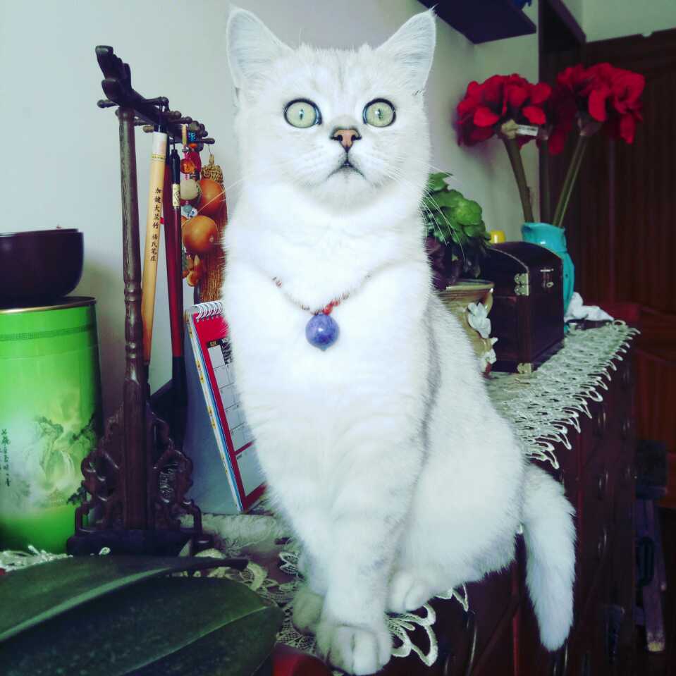 朱女士