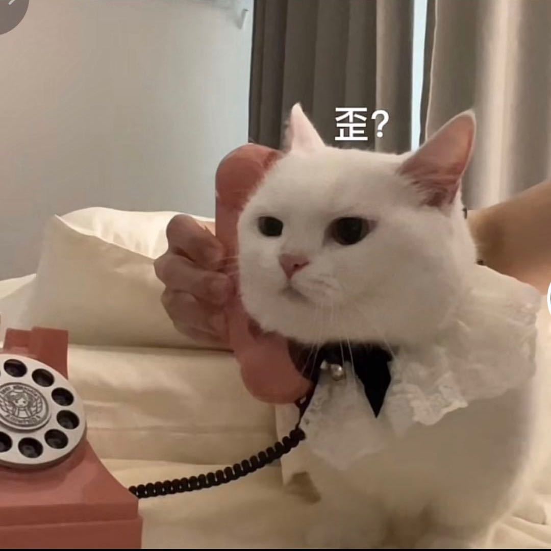Neko