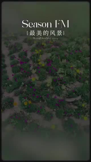 🦋🌸小薯长安 莫贪凉
 少动静养 自然凉🦋🌸