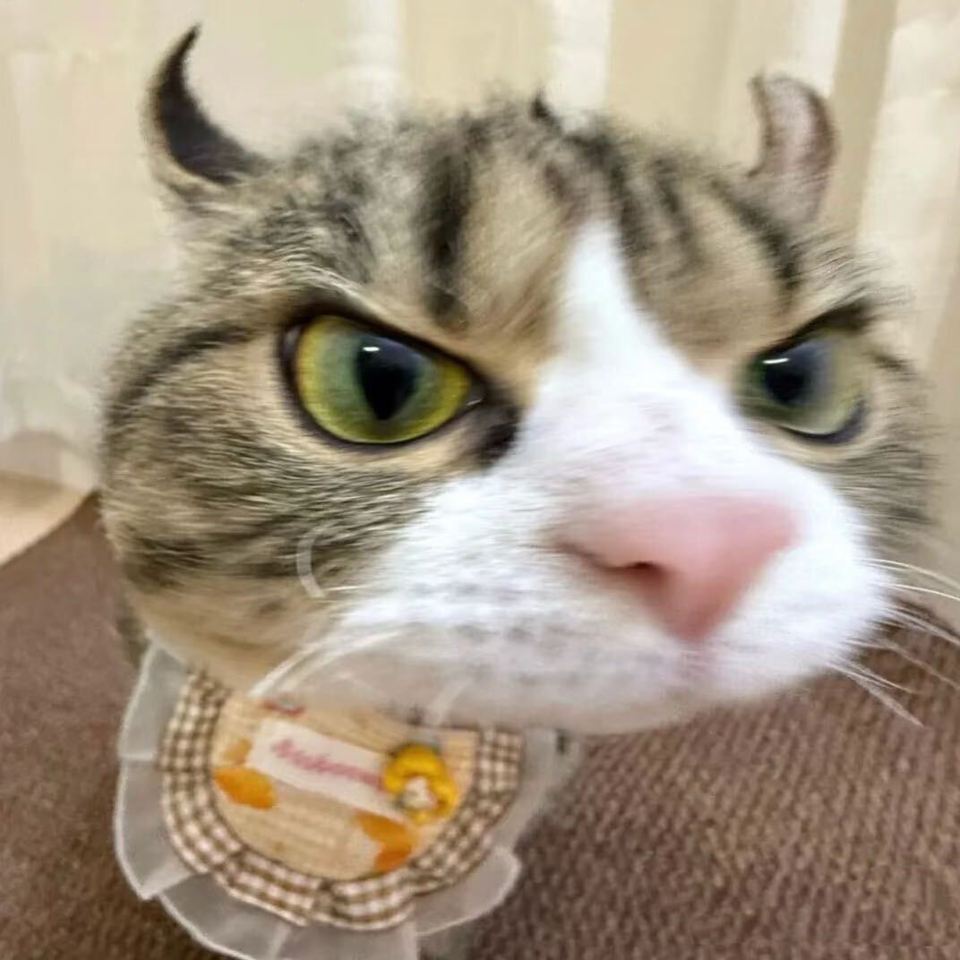 瑞