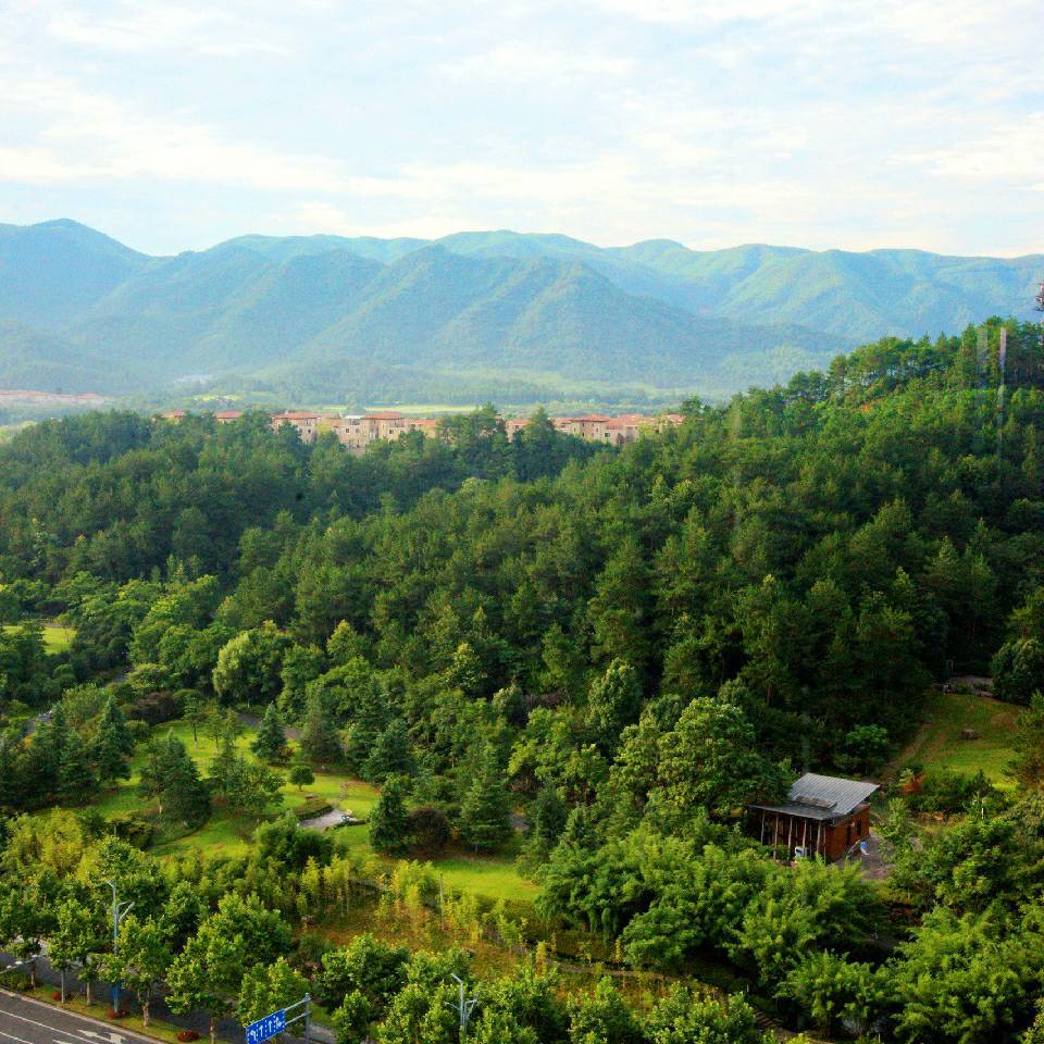 鳯凰居