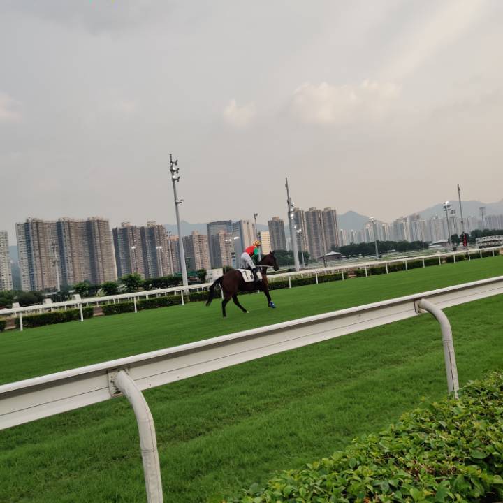 曹慧玲