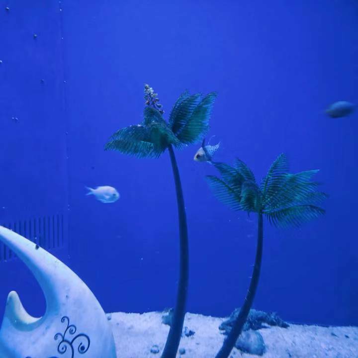 茶花