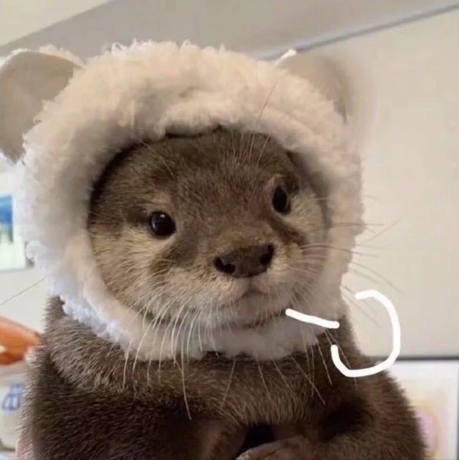 小羊🌱