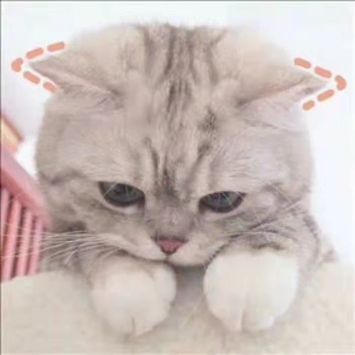 周进