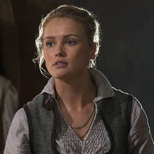 刘大毛铲屎官丶