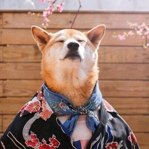 空青