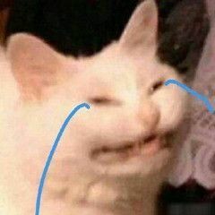 暹罗