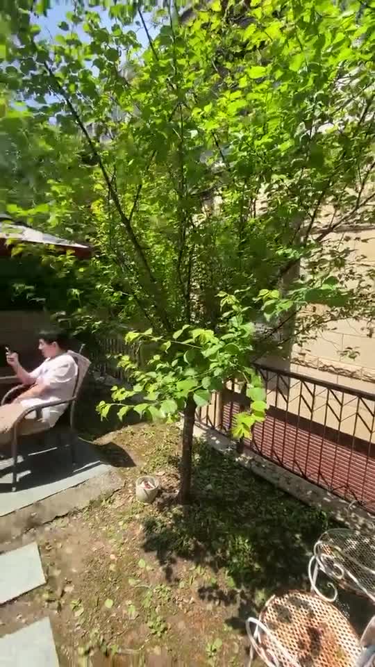 封在住的地方晒太阳，租房子也可以舒服一点